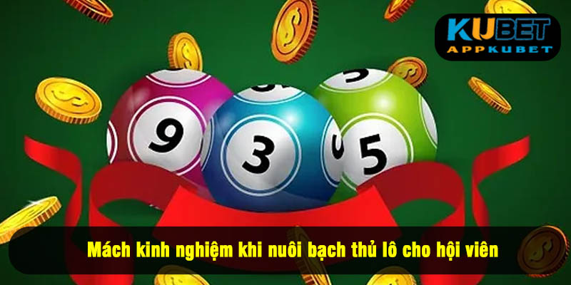 Mách kinh nghiệm khi nuôi bạch thủ lô cho hội viên