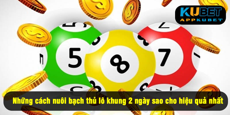 Những cách nuôi bạch thủ lô khung 2 ngày sao cho hiệu quả nhất