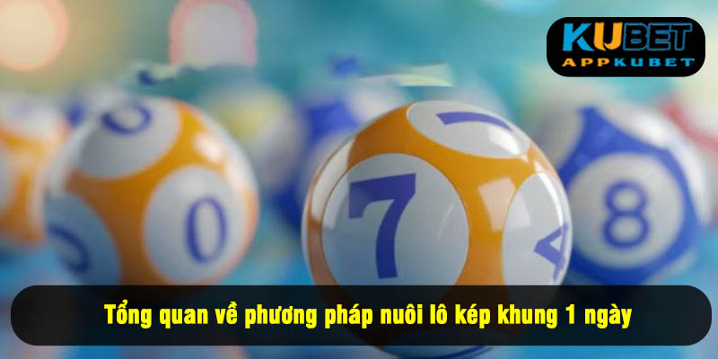 Tổng quan về phương pháp nuôi lô kép khung 1 ngày